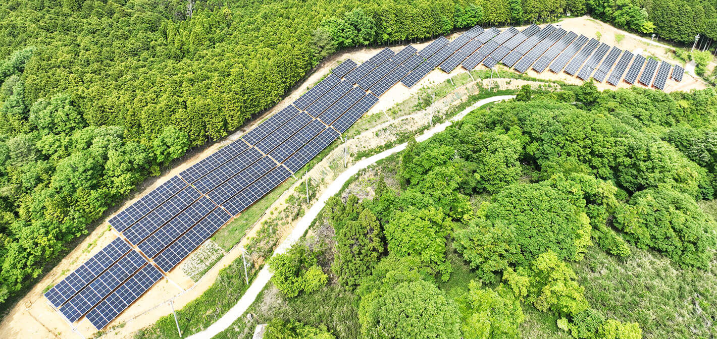 MEGA SOLAR POWER 再生可能エネルギー開発